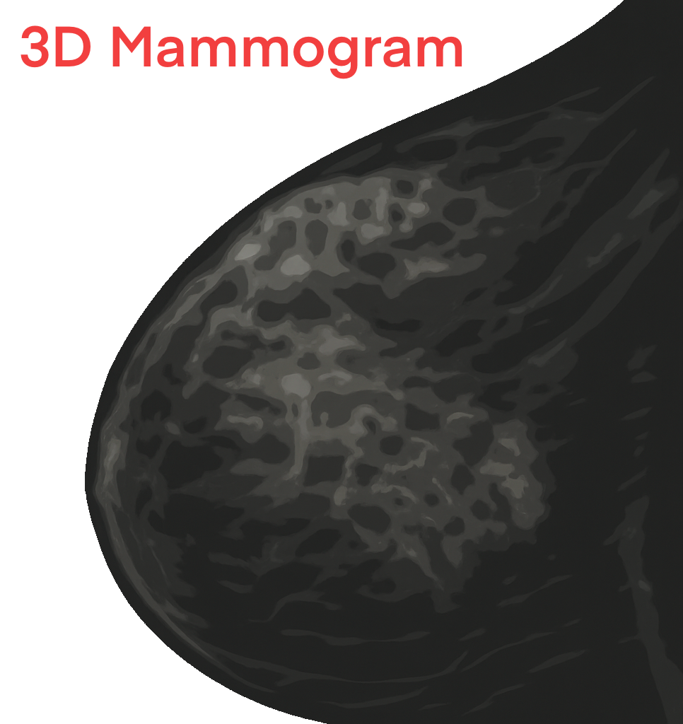 3D mammogram base